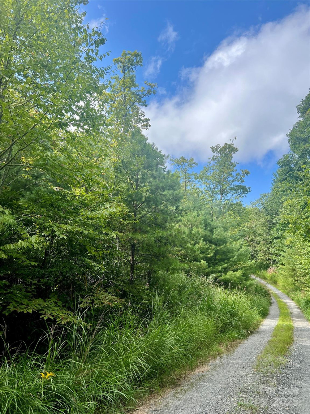 F2 Emma Bri Lane #F2