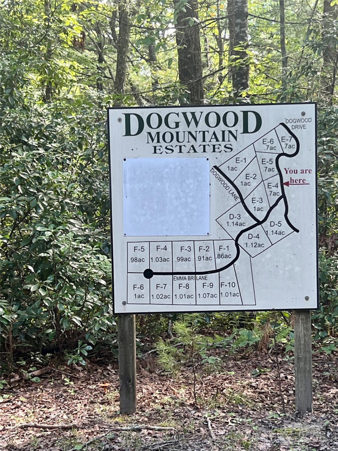 F2 Emma Bri Lane #F2 - Photo 3