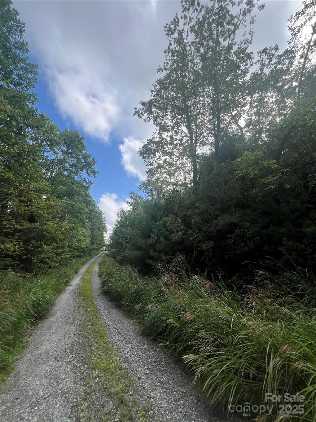 F2 Emma Bri Lane #F2 - Photo 5