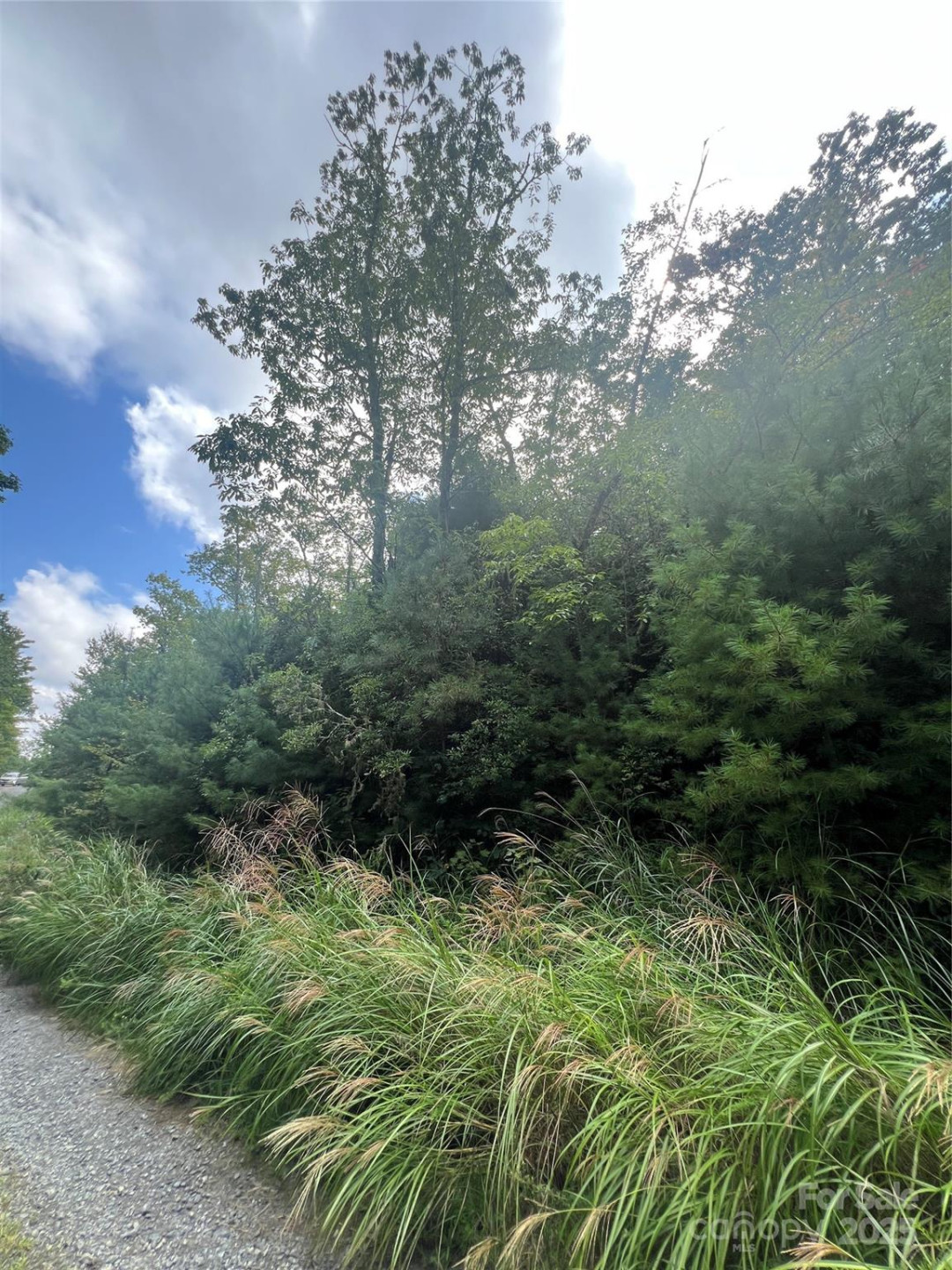 F2 Emma Bri Lane #F2 - Photo 6