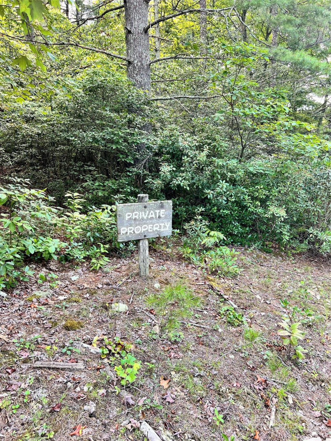 653 Lakeview Drive - Photo 29