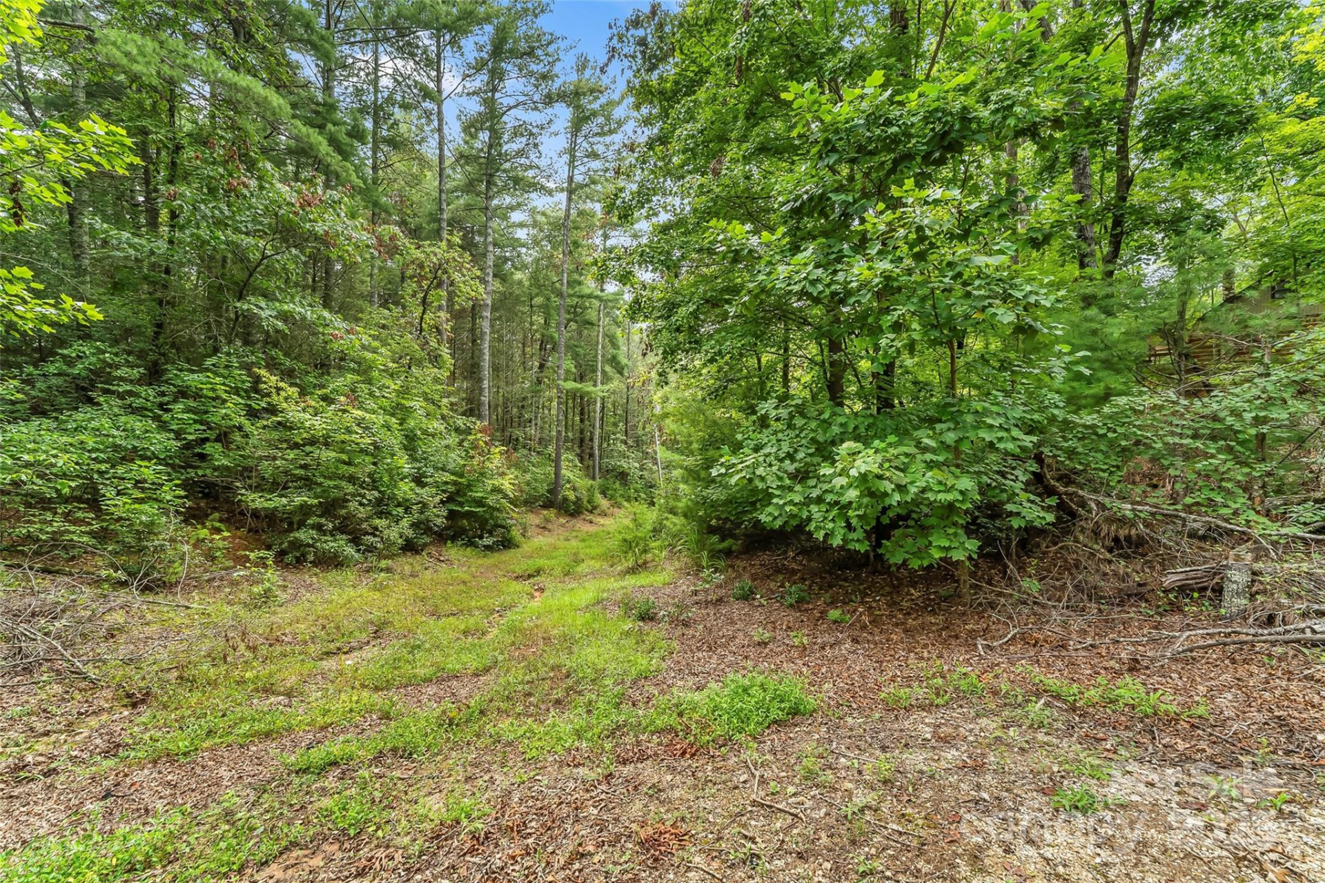 653 Lakeview Drive - Photo 34