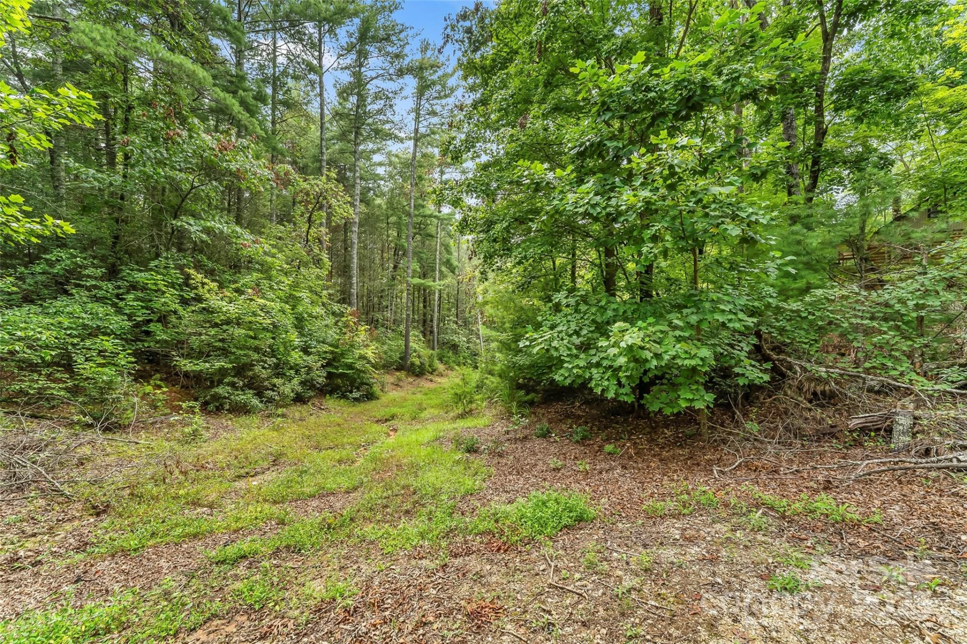 653 Lakeview Drive - Photo 34