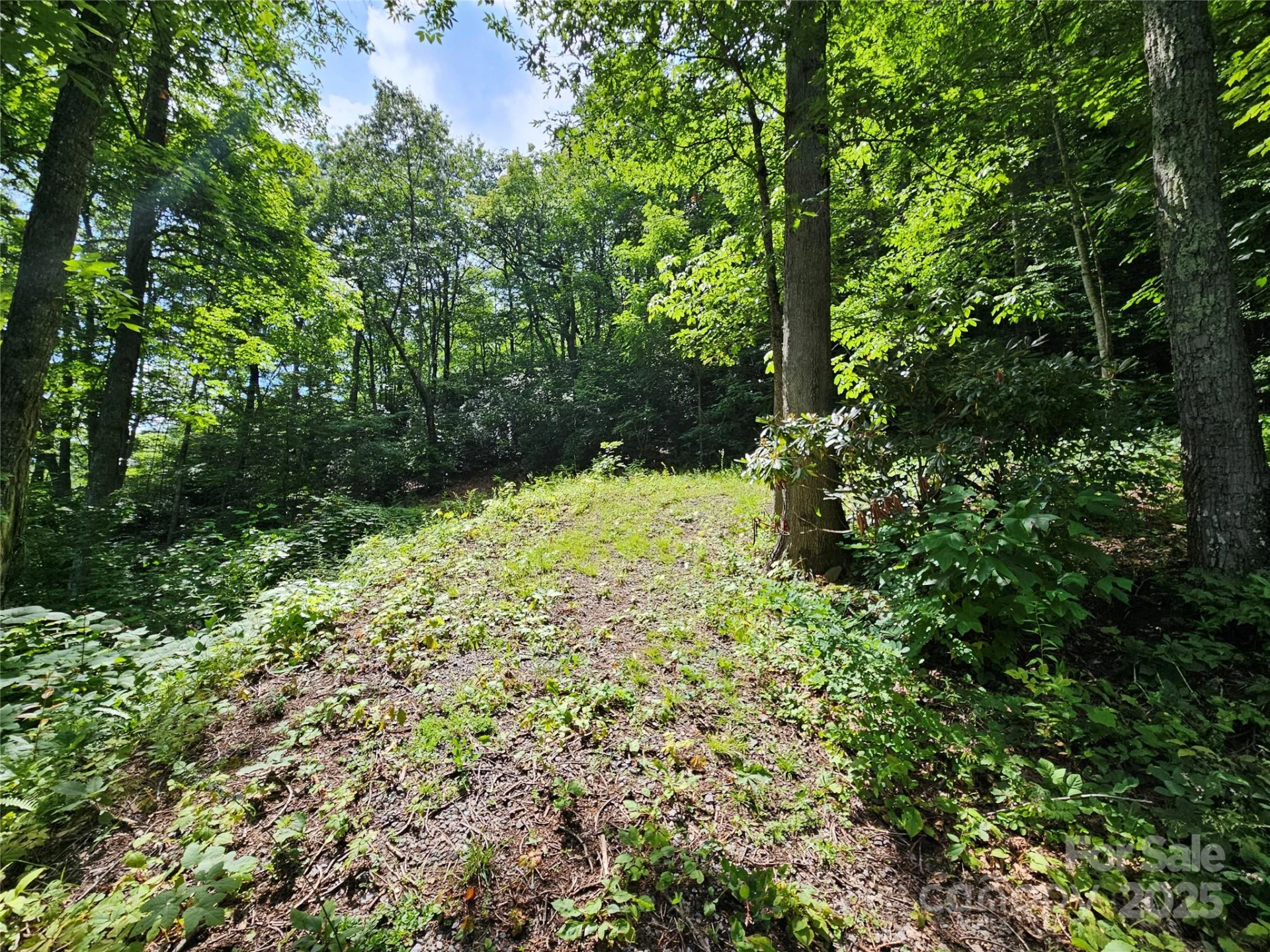 000 Big Boulder Ridge #9 - Photo 2
