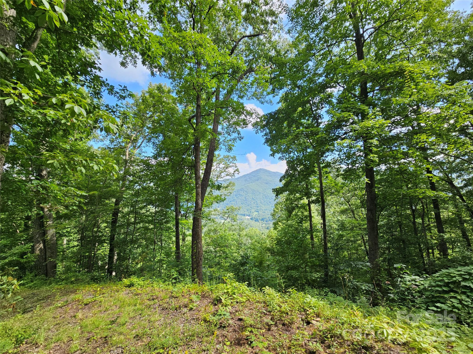 000 Big Boulder Ridge #9 - Photo 3