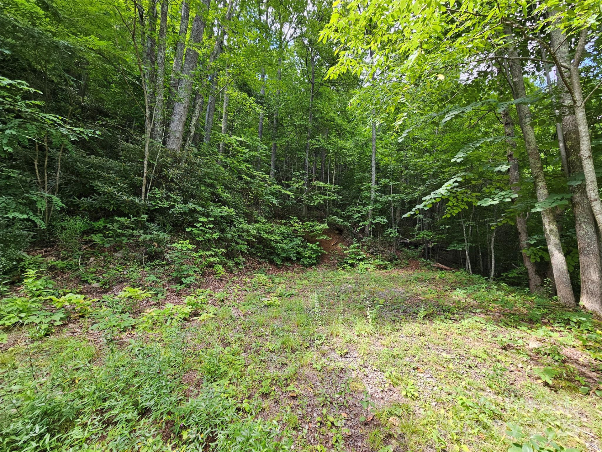 000 Big Boulder Ridge #9 - Photo 4