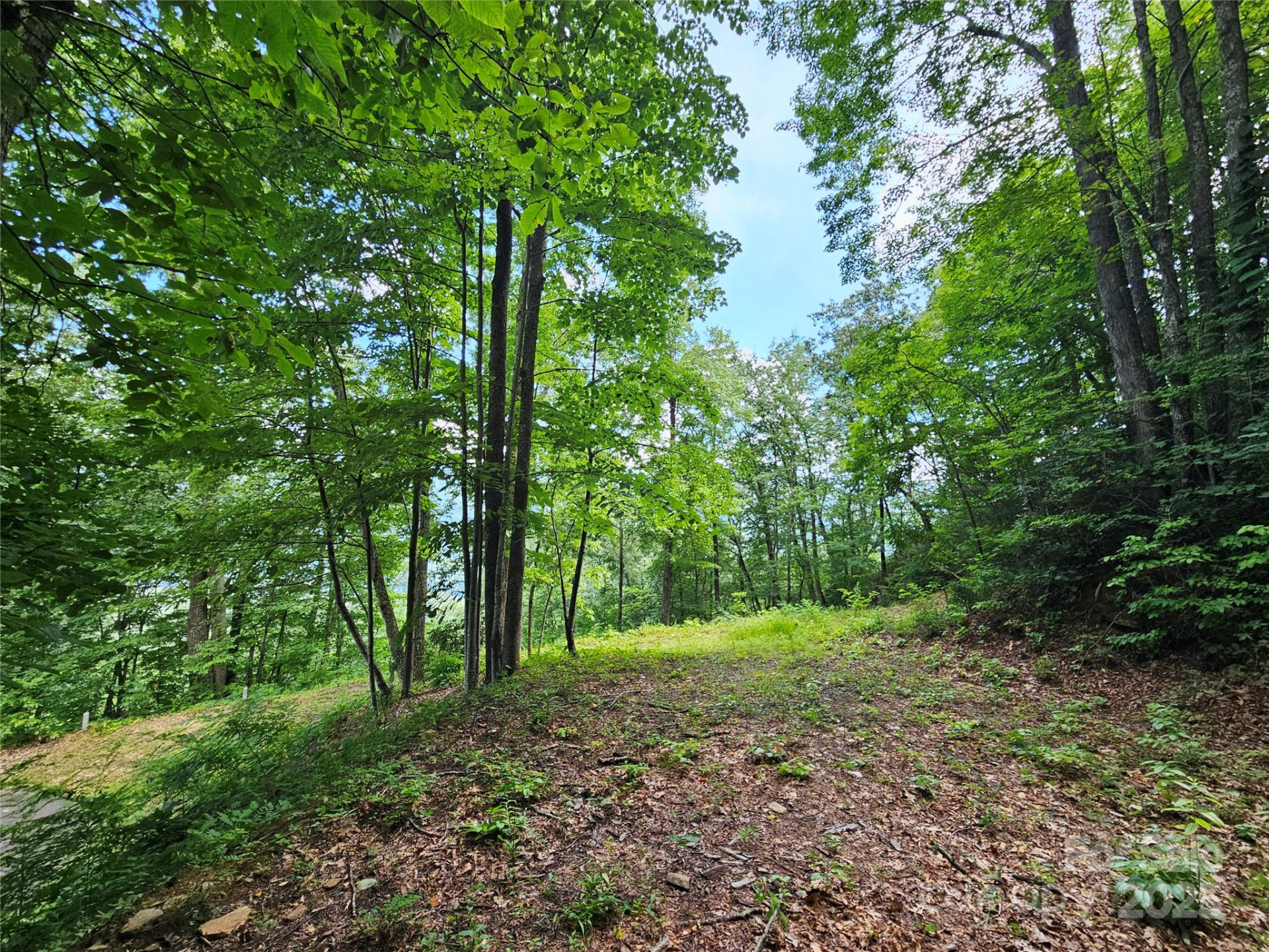 000 Big Boulder Ridge #9 - Photo 6