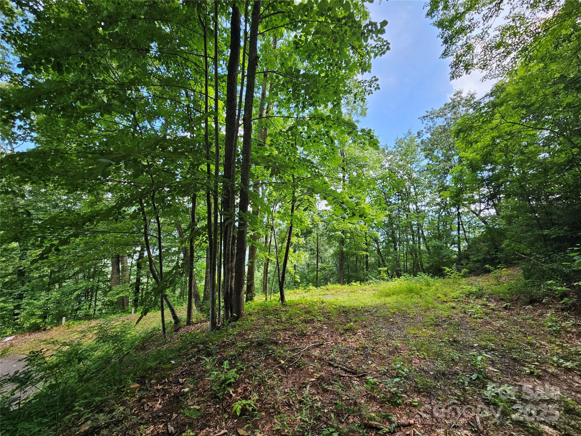 000 Big Boulder Ridge #9 - Photo 7