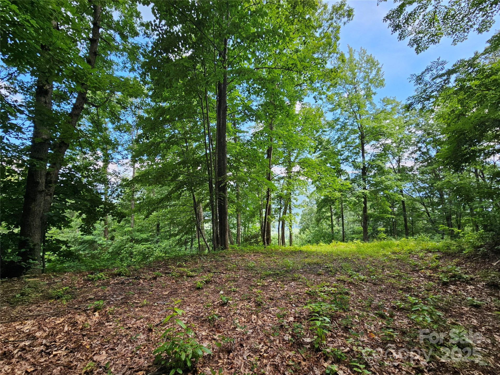 000 Big Boulder Ridge #9 - Photo 8