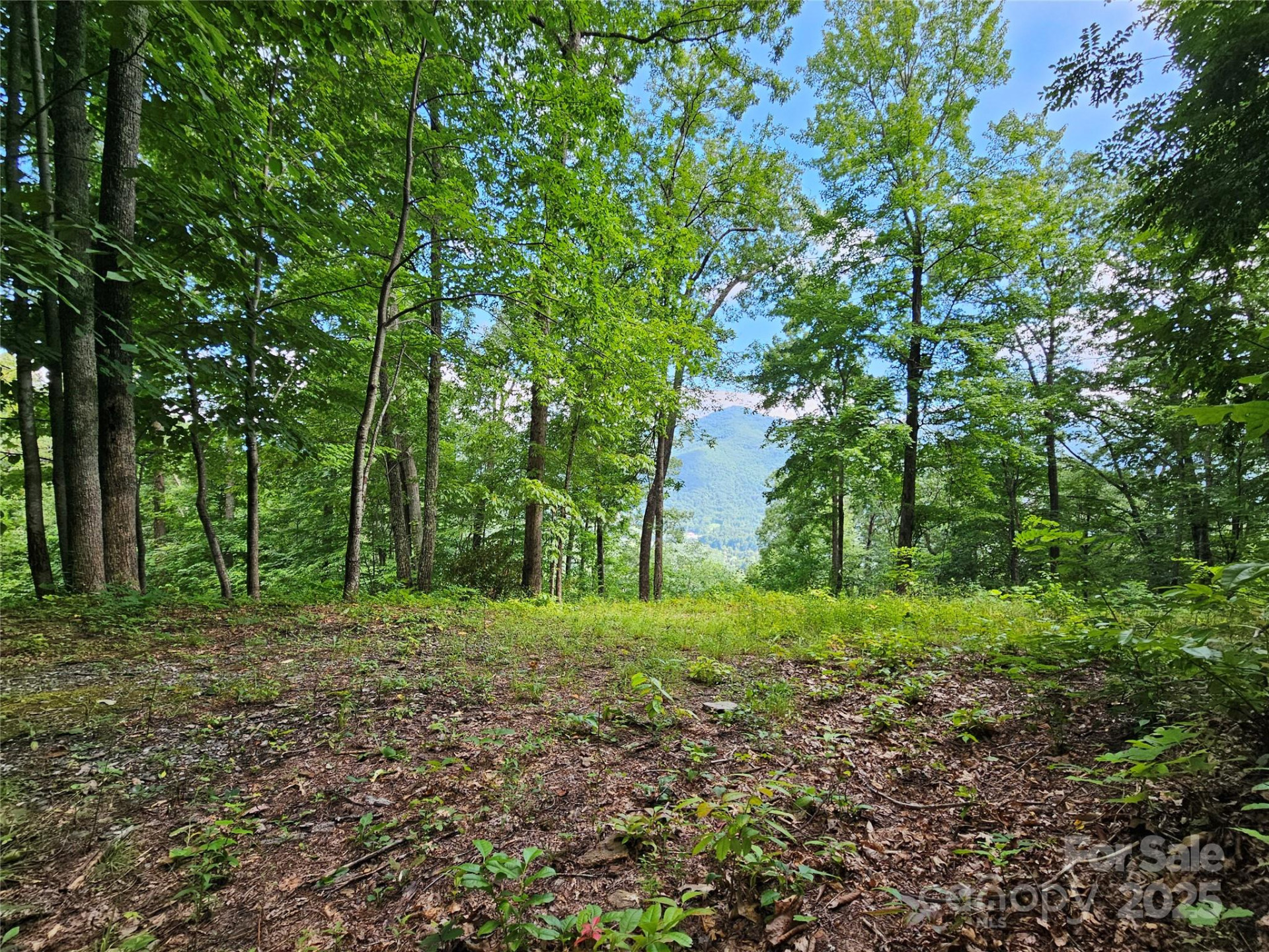 000 Big Boulder Ridge #9 - Photo 9