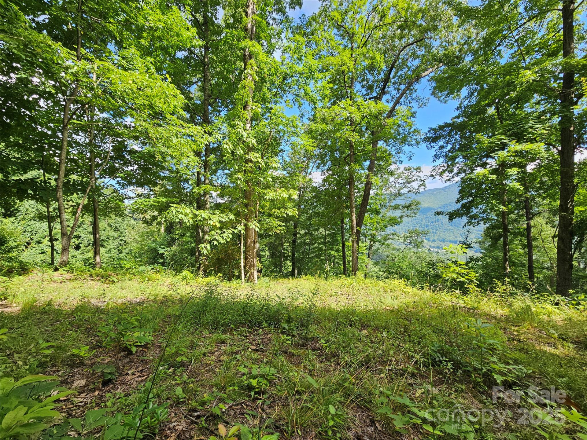 000 Big Boulder Ridge #9 - Photo 10