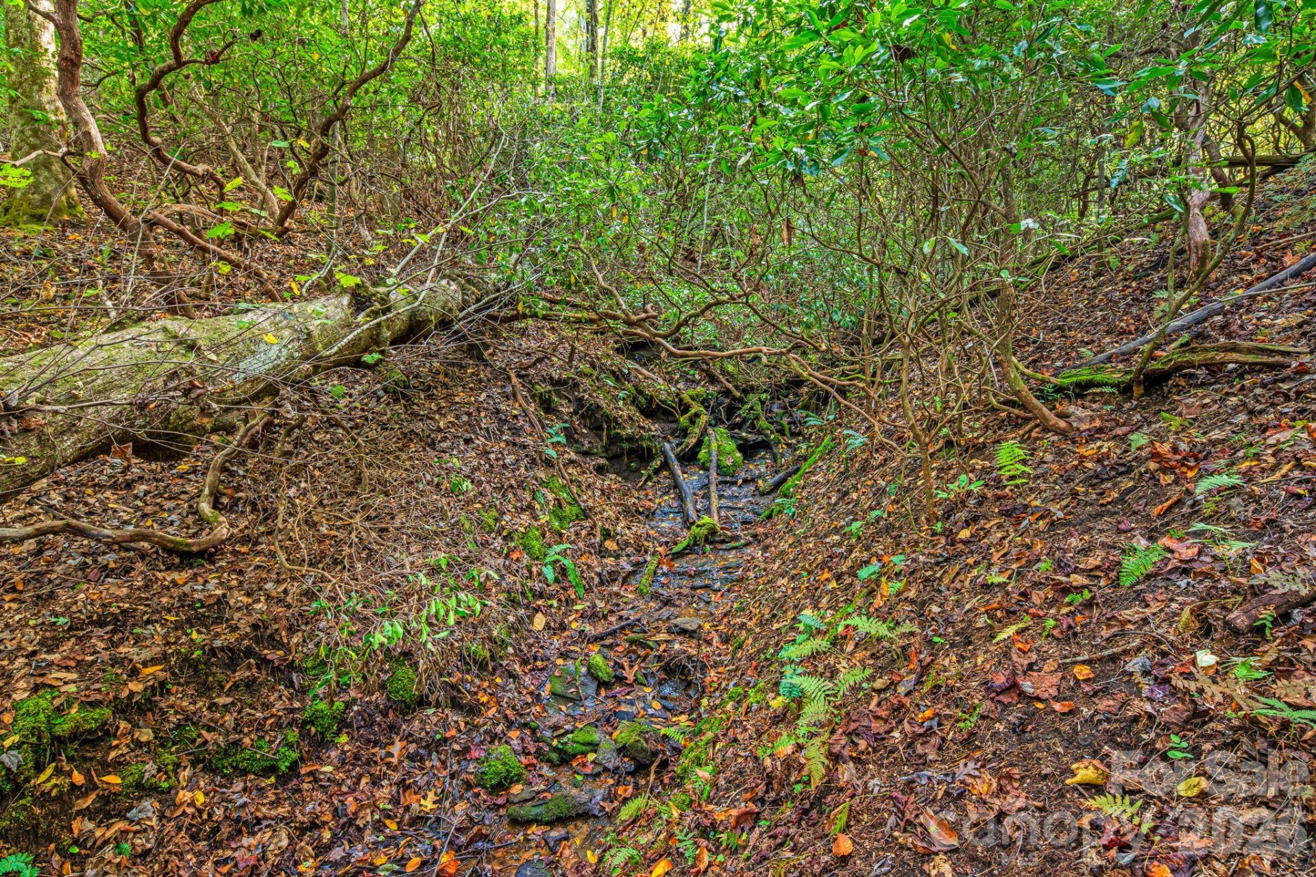 206 Willow Lane - Photo 29