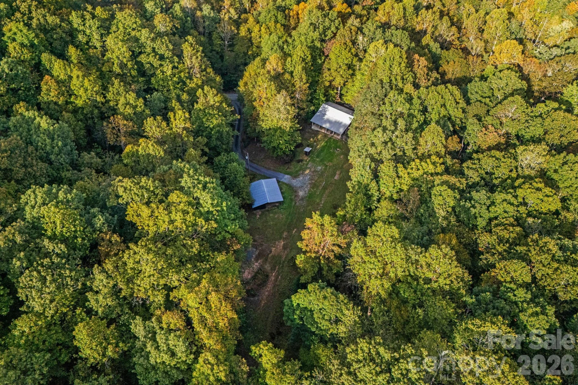 206 Willow Lane - Photo 6