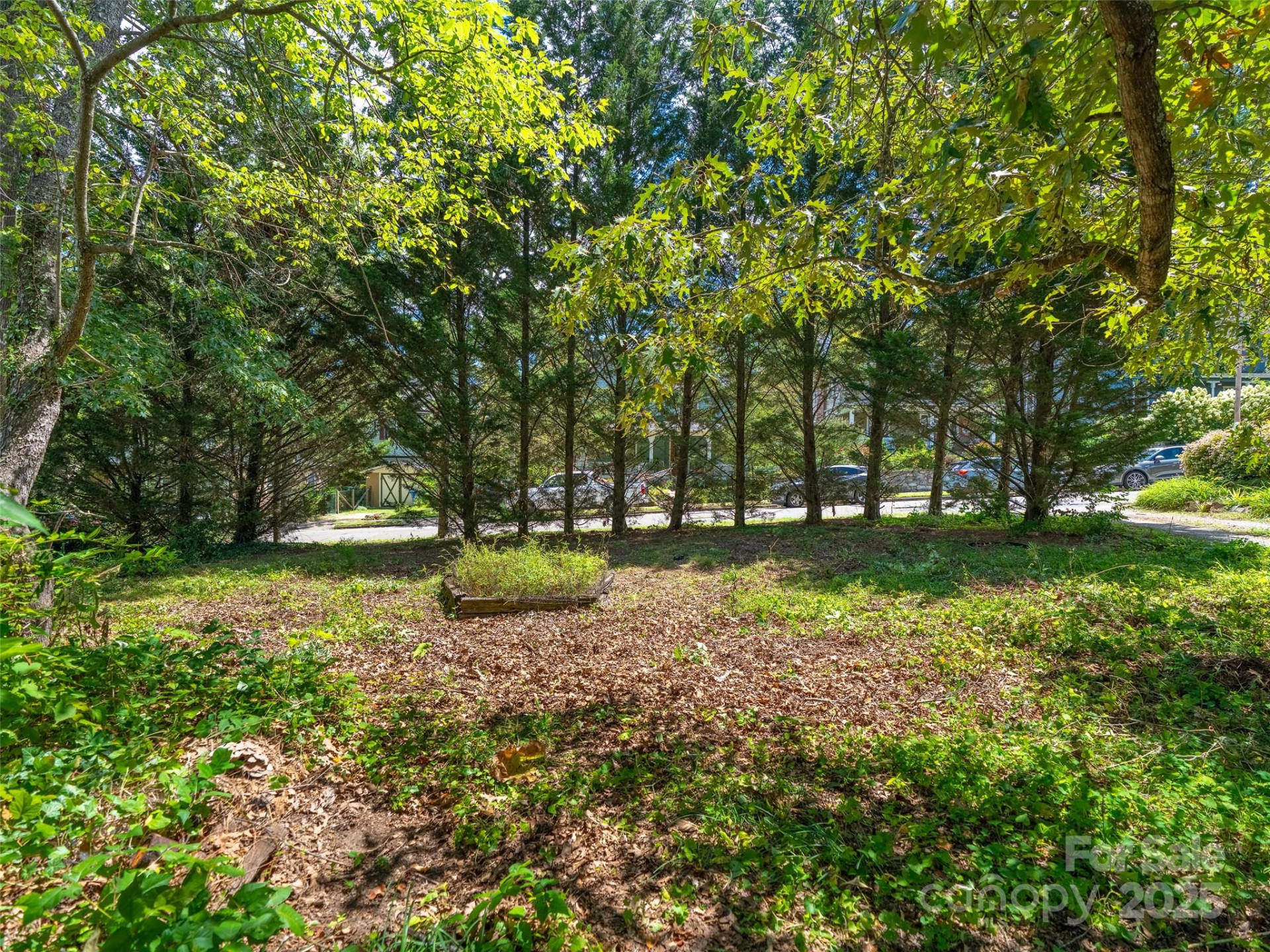 99999 Blake Street - Photo 5