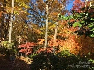 37 Wood Robin Lane - Photo 36