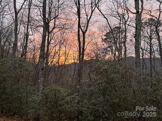 37 Wood Robin Lane - Photo 40