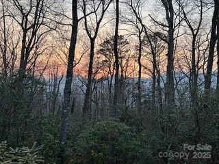 37 Wood Robin Lane - Photo 41