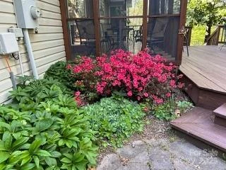 37 Wood Robin Lane - Photo 42