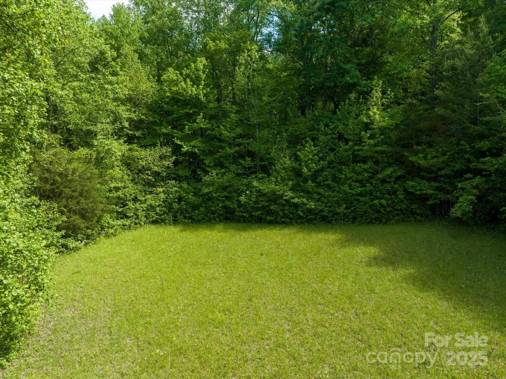 0 Mills Street - Photo 18