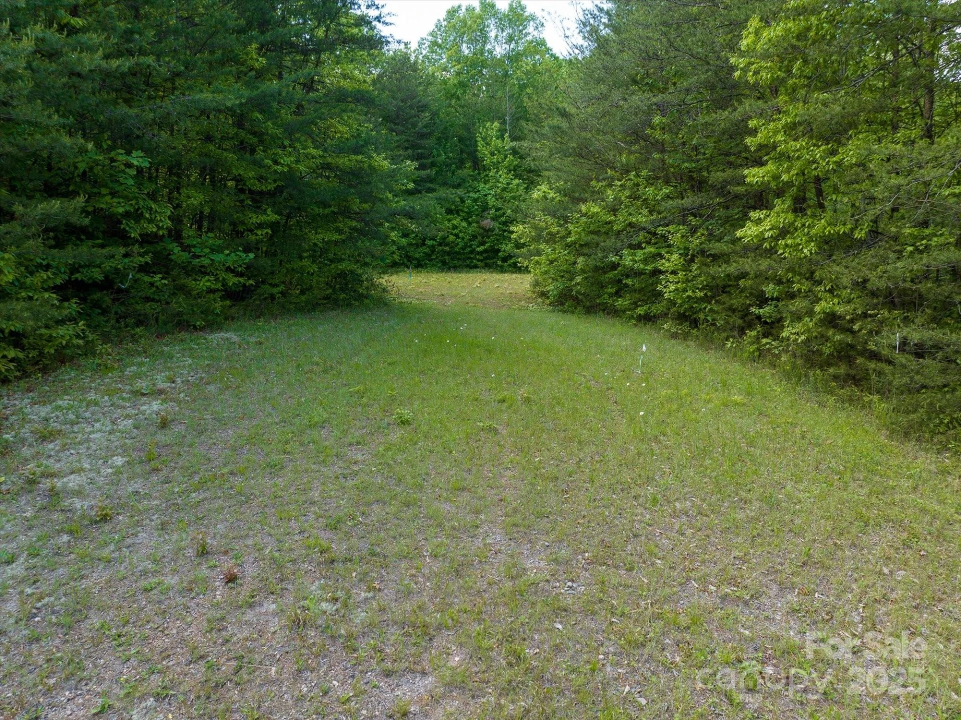 0 Mills Street - Photo 20