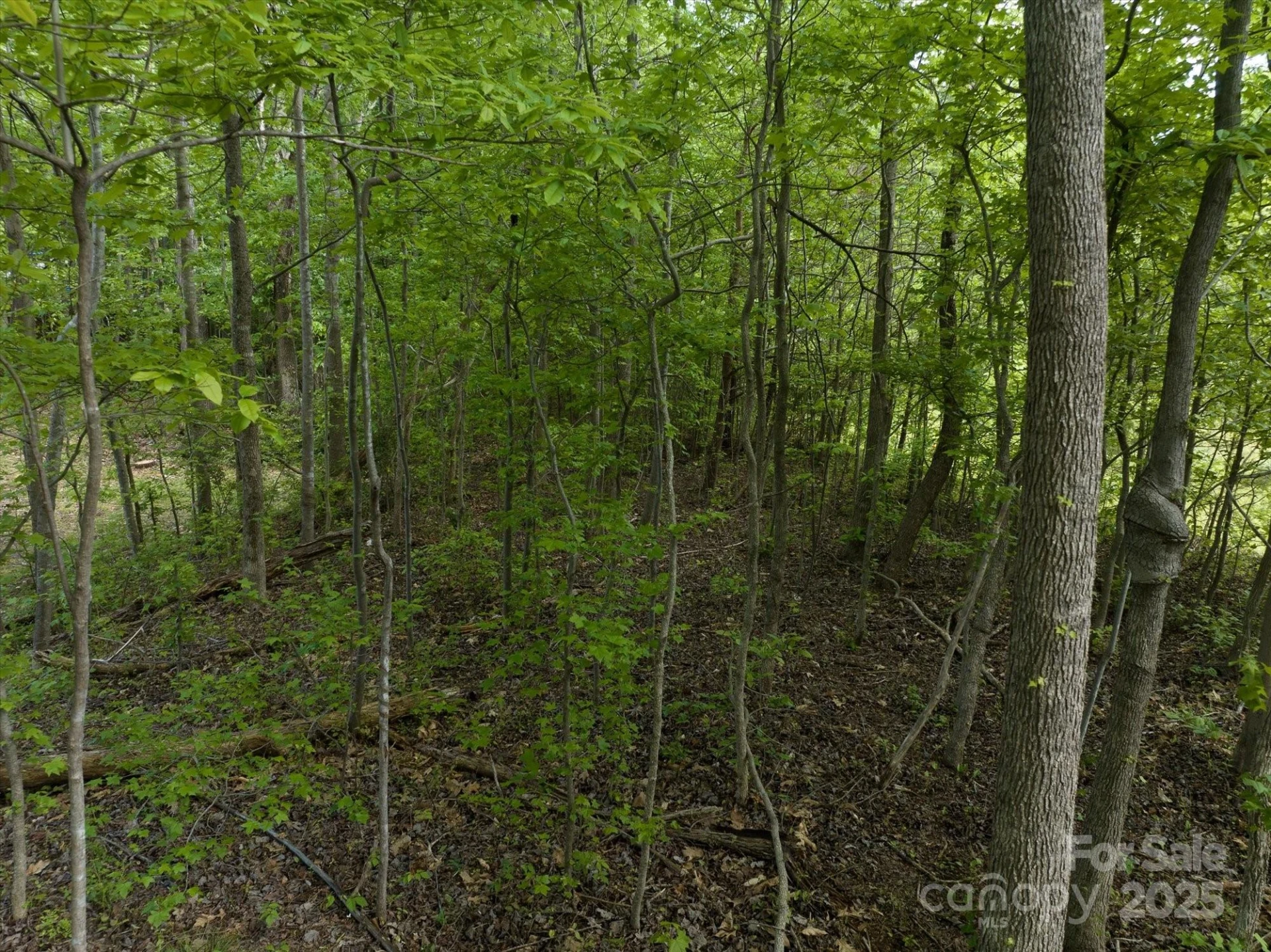 0 Mills Street - Photo 24