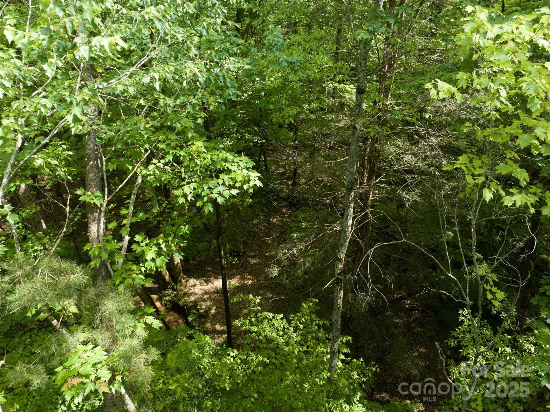 899 Mills Street - Photo 25