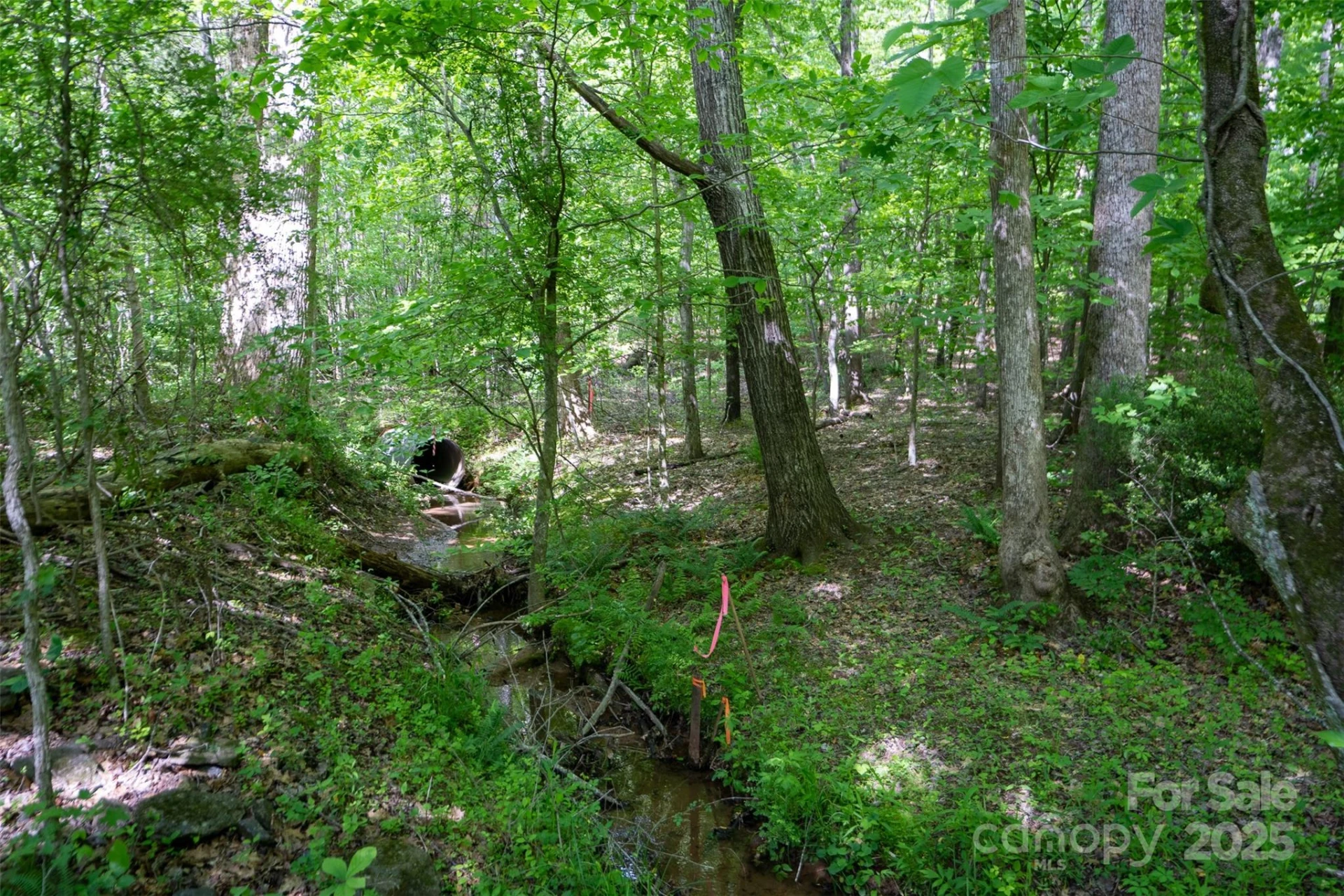 0 Mills Street - Photo 26
