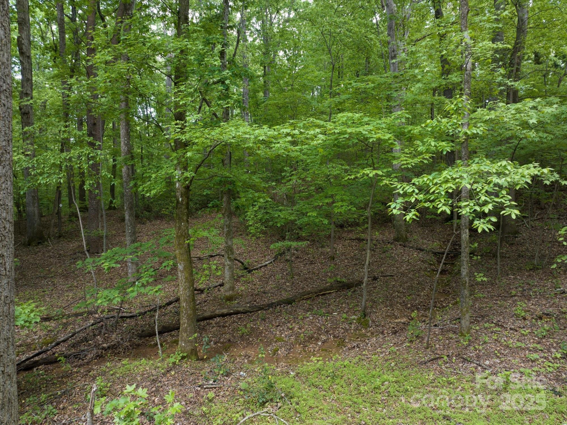 899 Mills Street - Photo 29