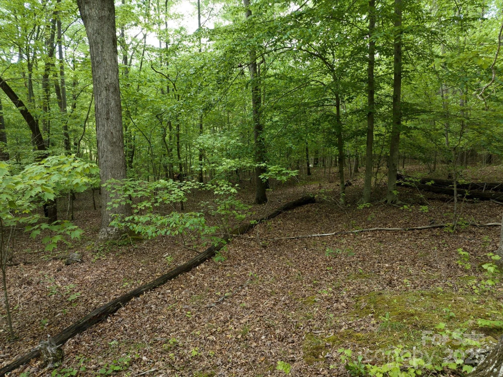 0 Mills Street - Photo 31