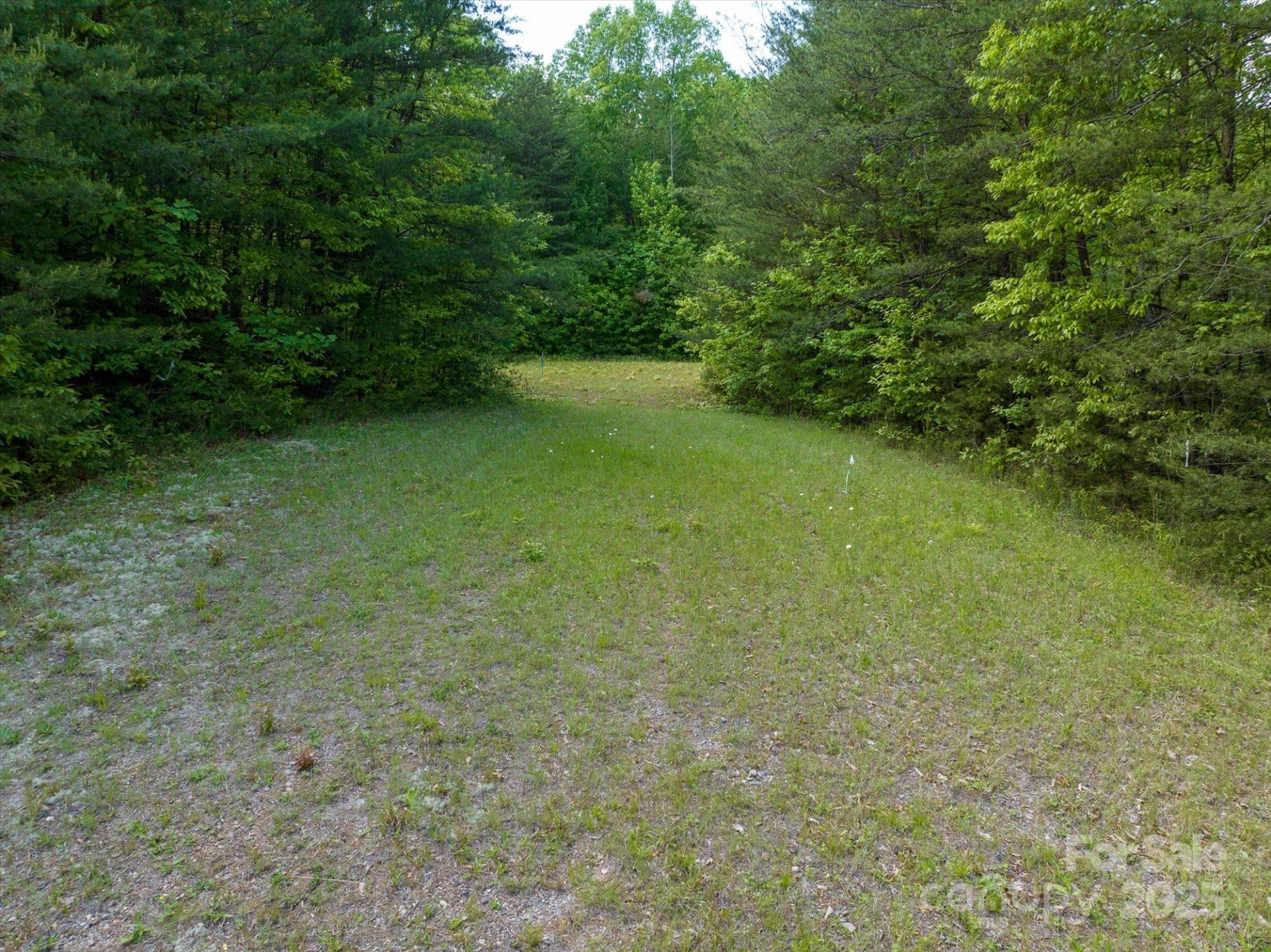 899 Mills Street - Photo 13