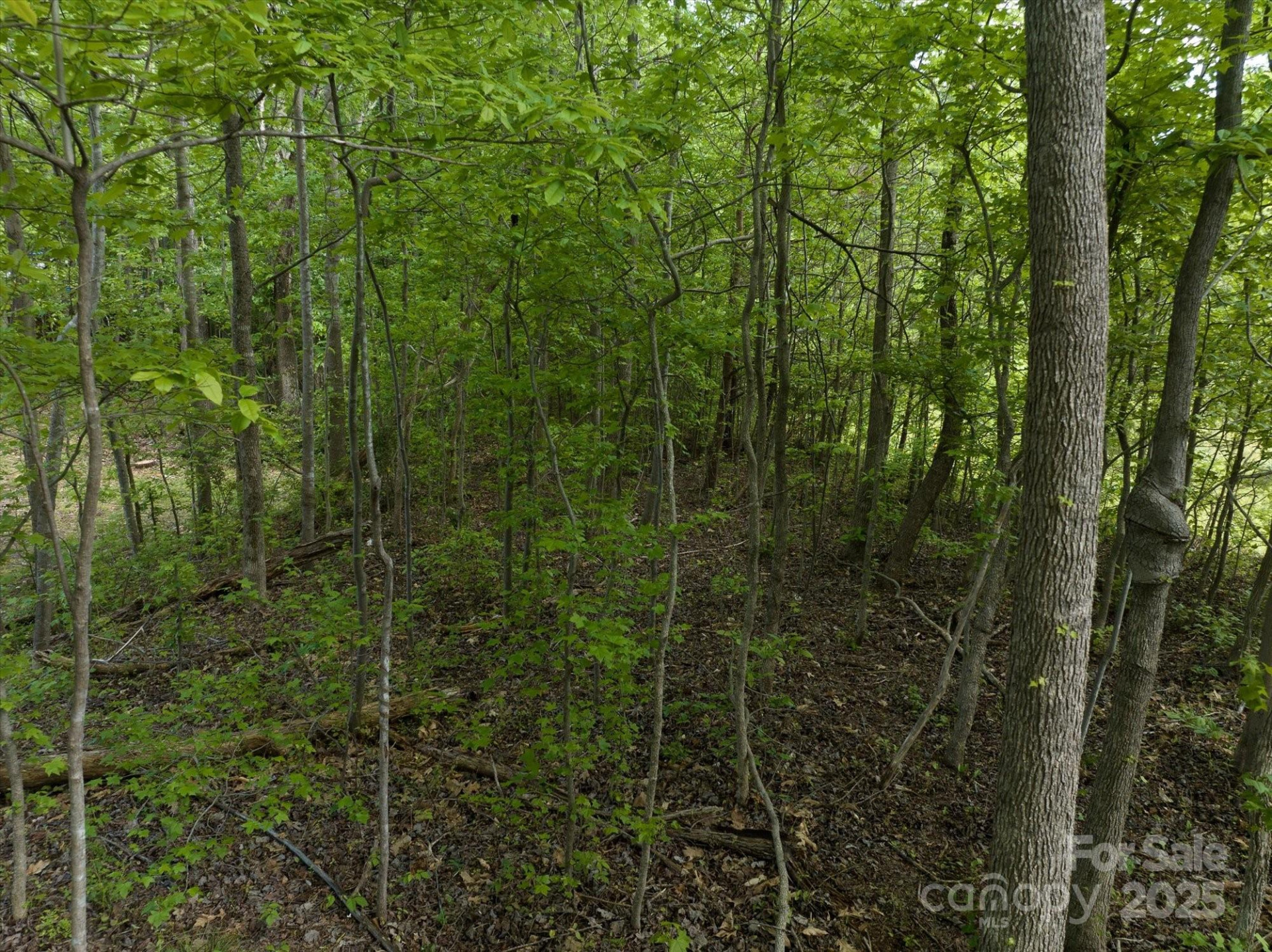 899 Mills Street - Photo 17