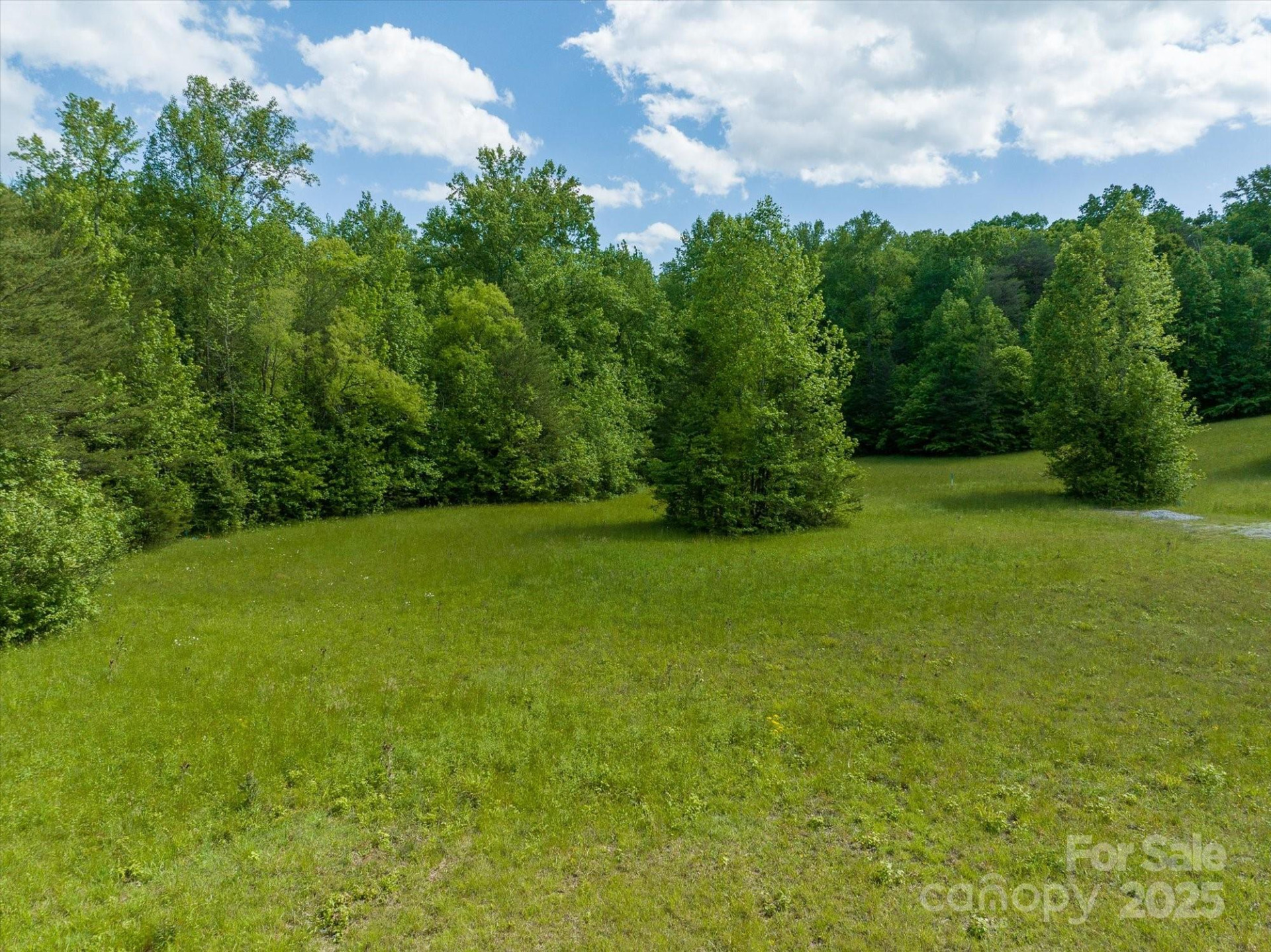 899 Mills Street - Photo 9