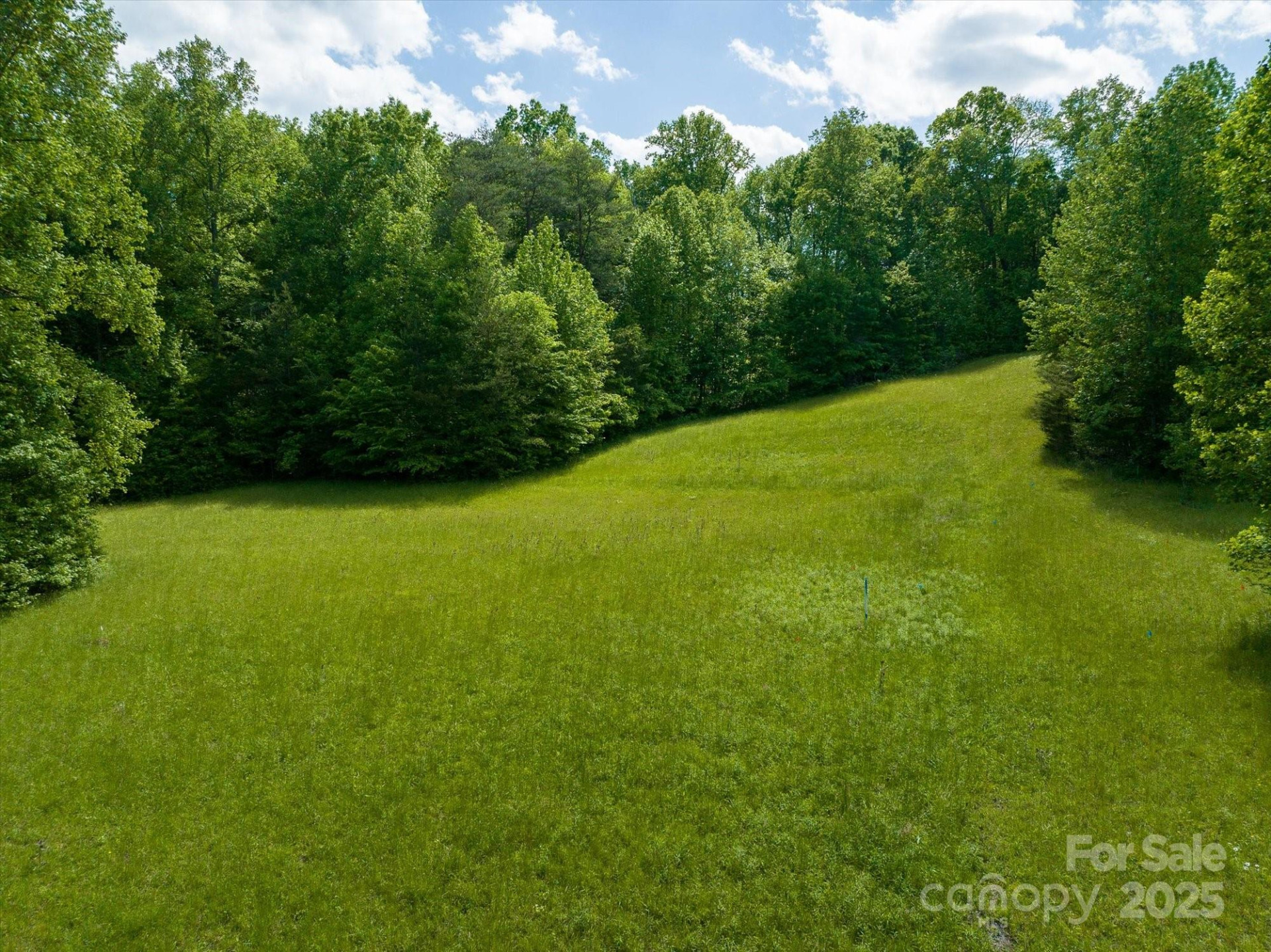 899 Mills Street - Photo 10