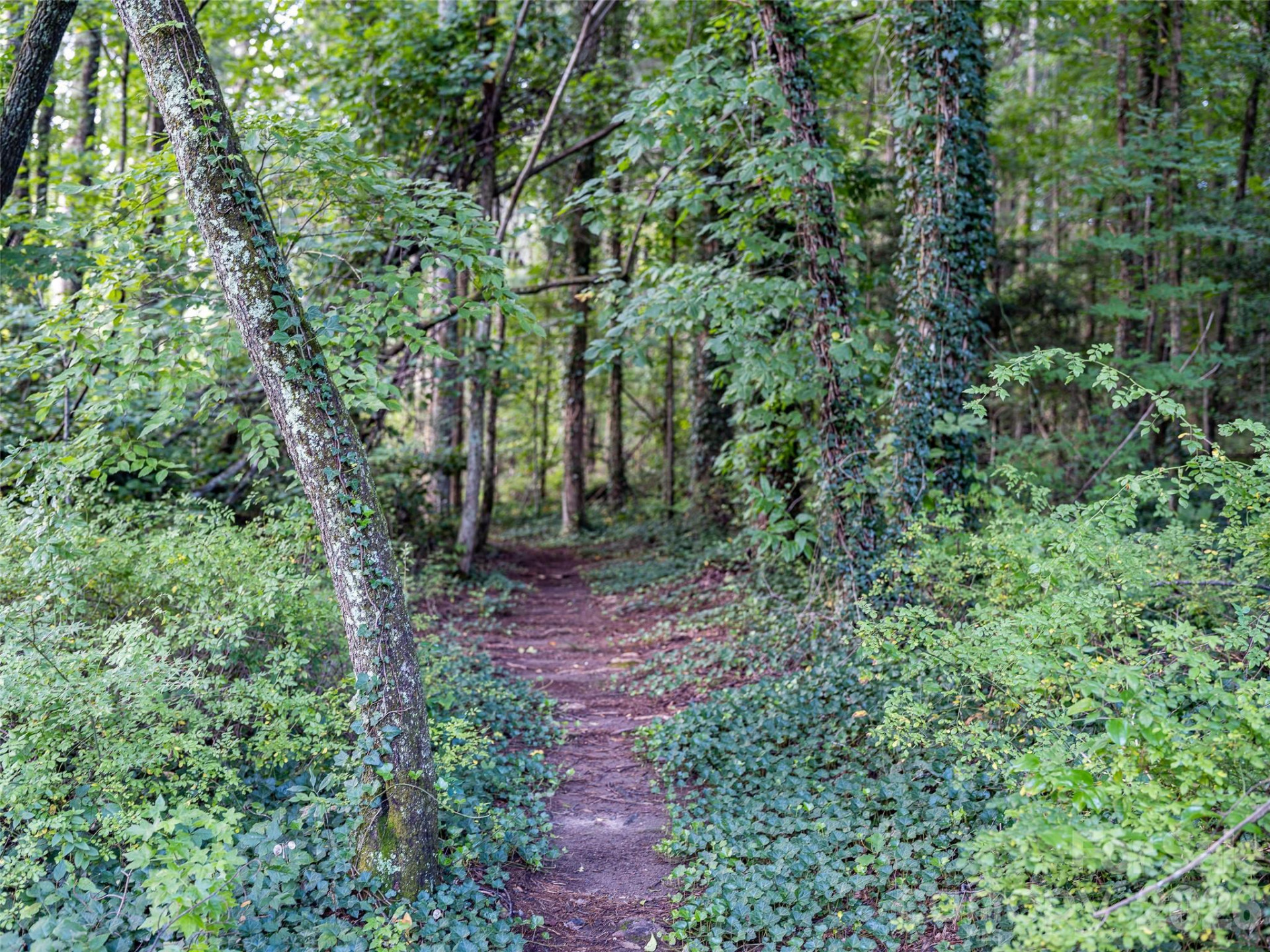 102 Boyd Drive #5C - Photo 26