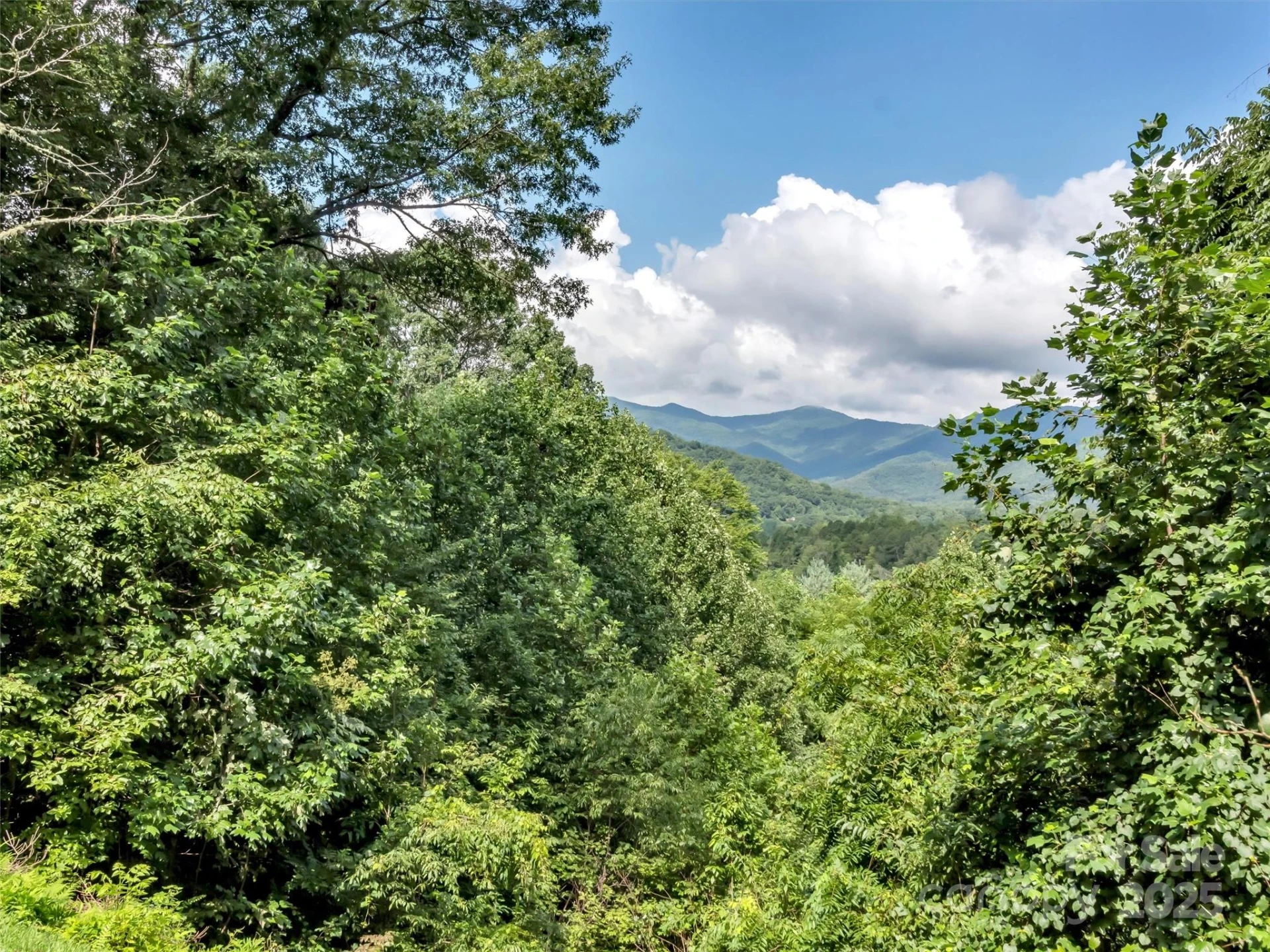 562 Beechwood Drive - Photo 5