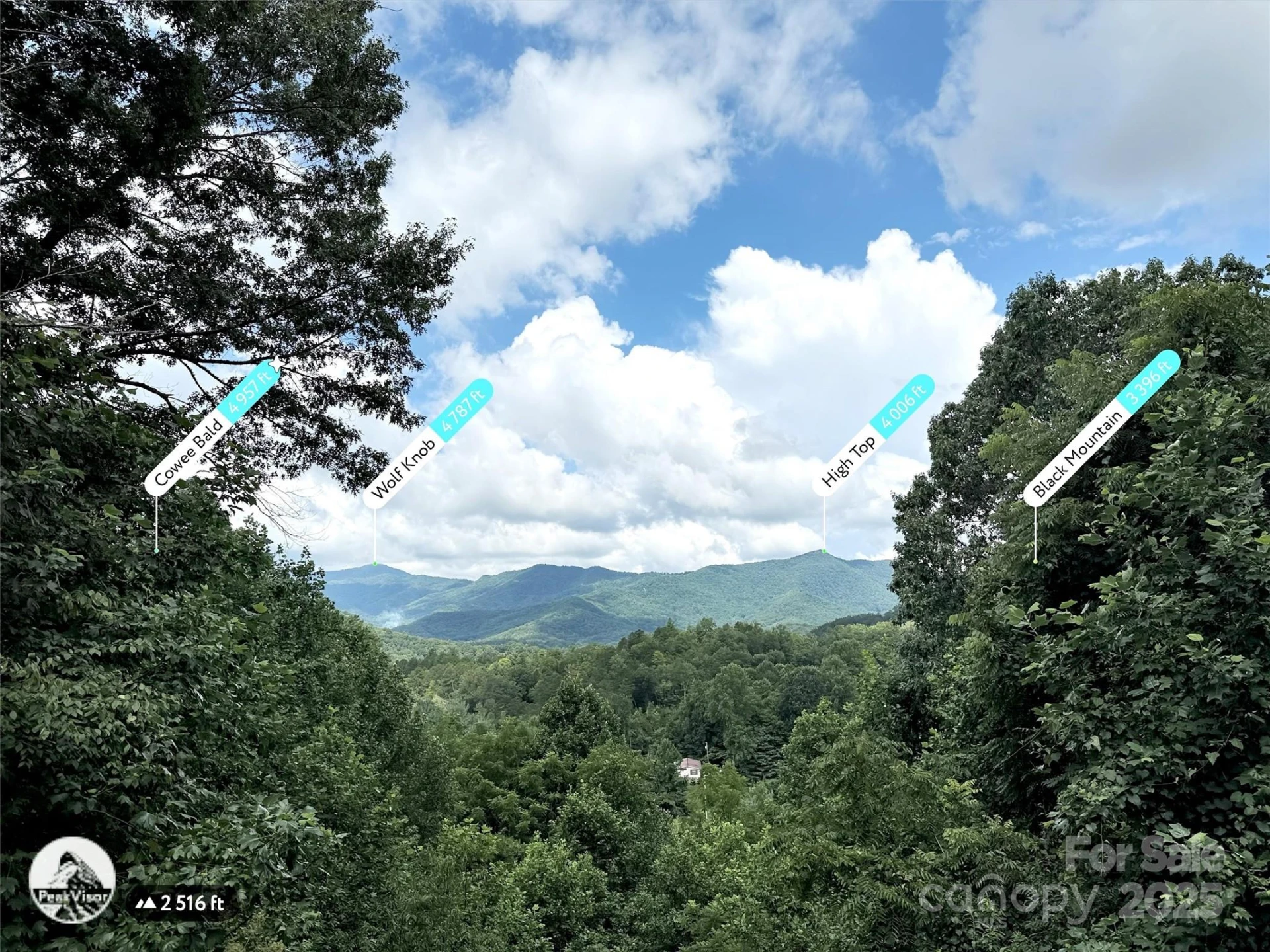 562 Beechwood Drive - Photo 6