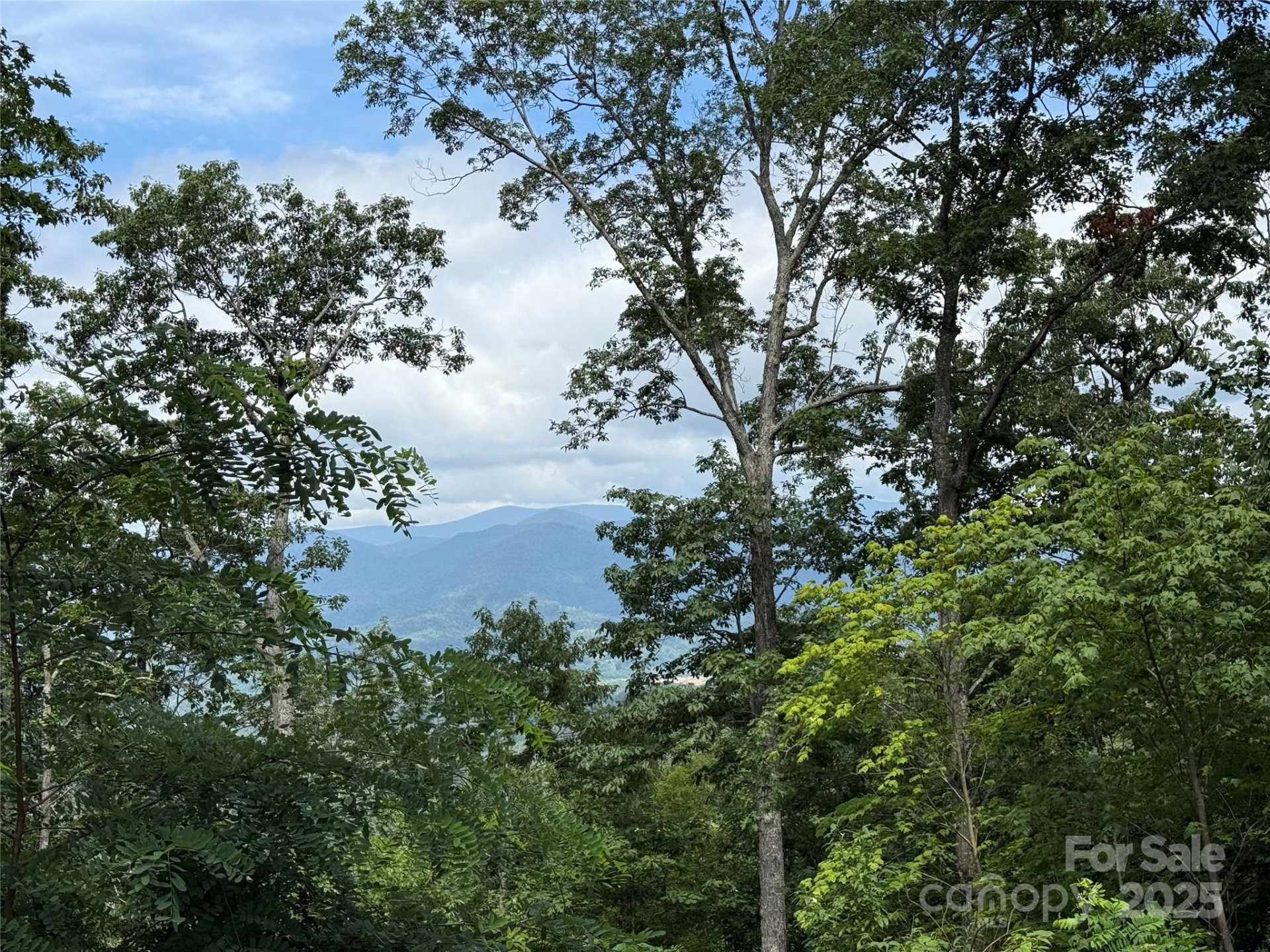 Lot 20 Heritage Ridge Road #20/4 - Photo 5