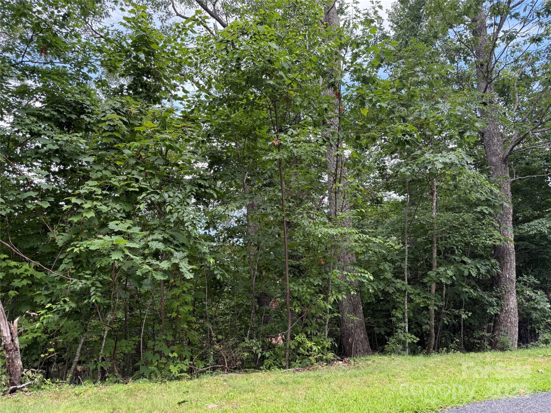 Lot 20 Heritage Ridge Road #20/4 - Photo 7