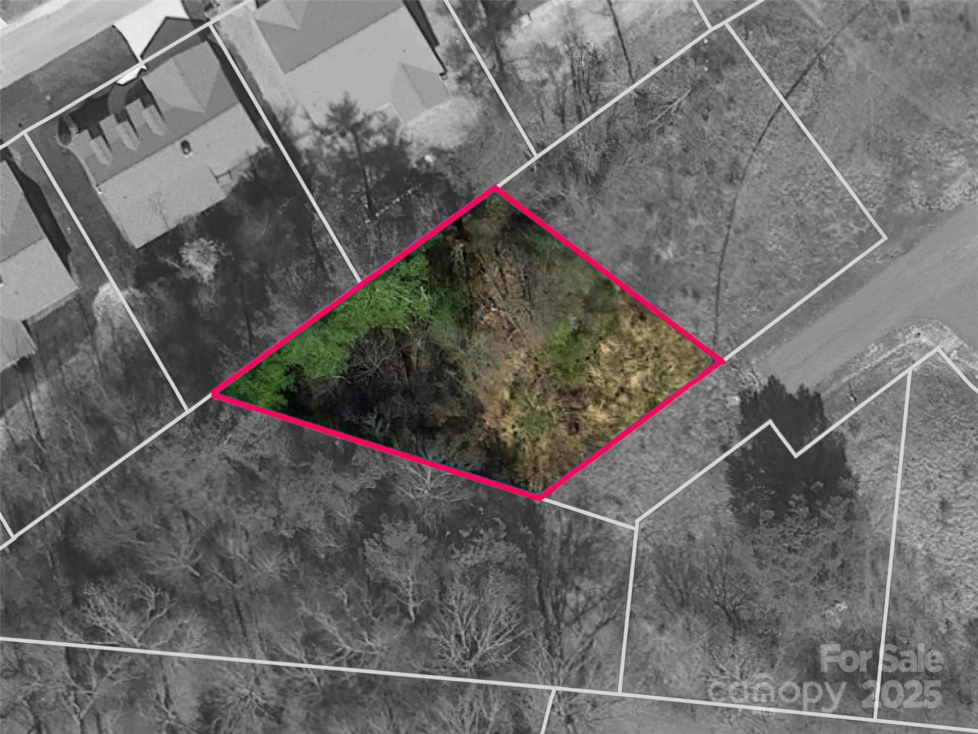 54 Olde Oak Lane - Photo 3