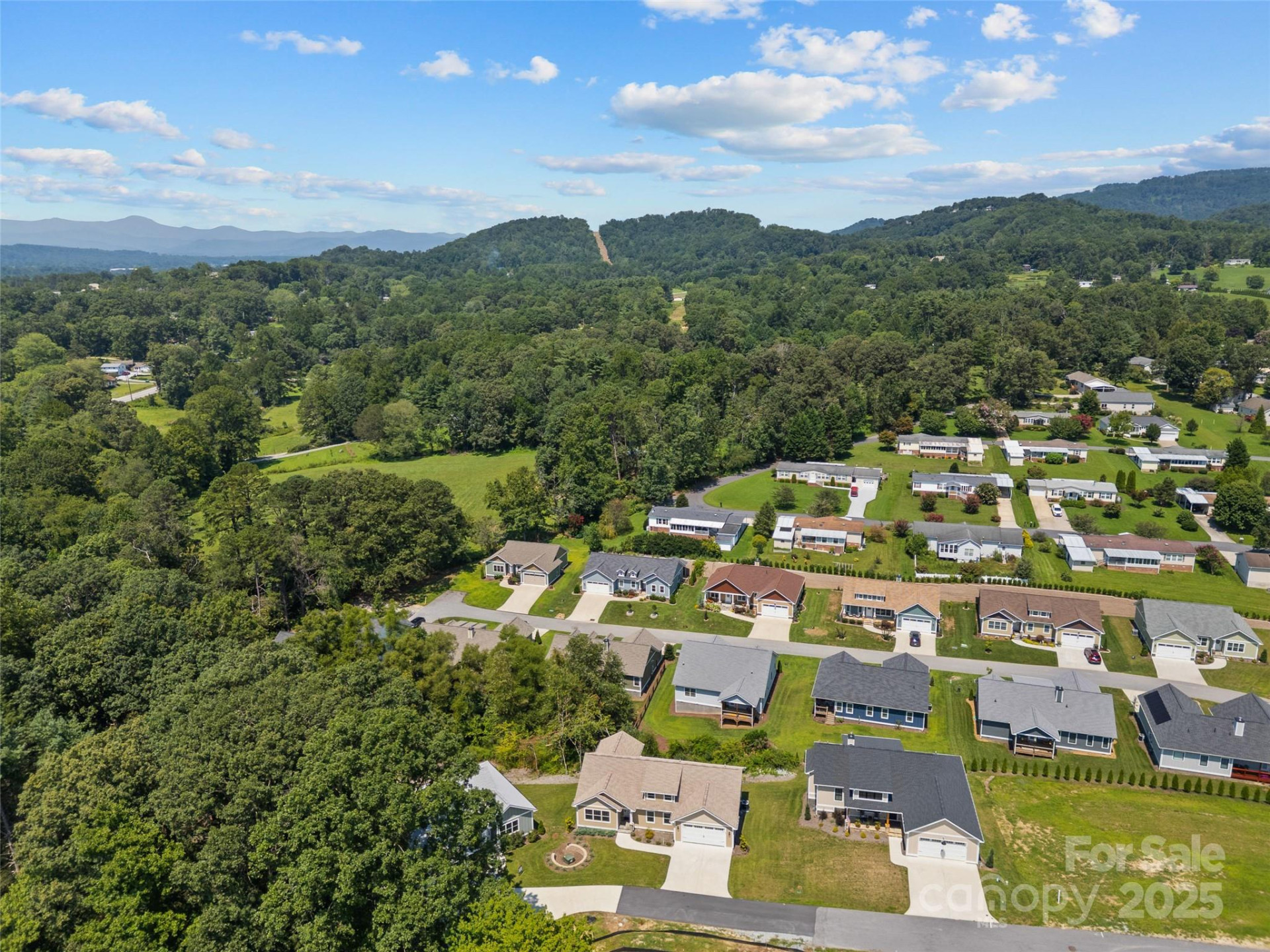 54 Olde Oak Lane - Photo 8