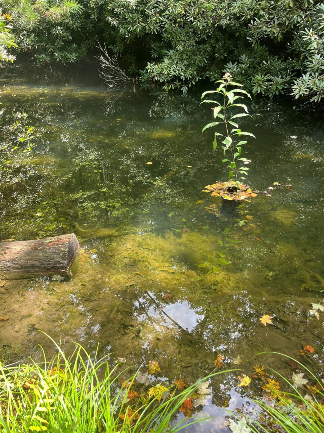 TBD Normcol Road - Photo 4