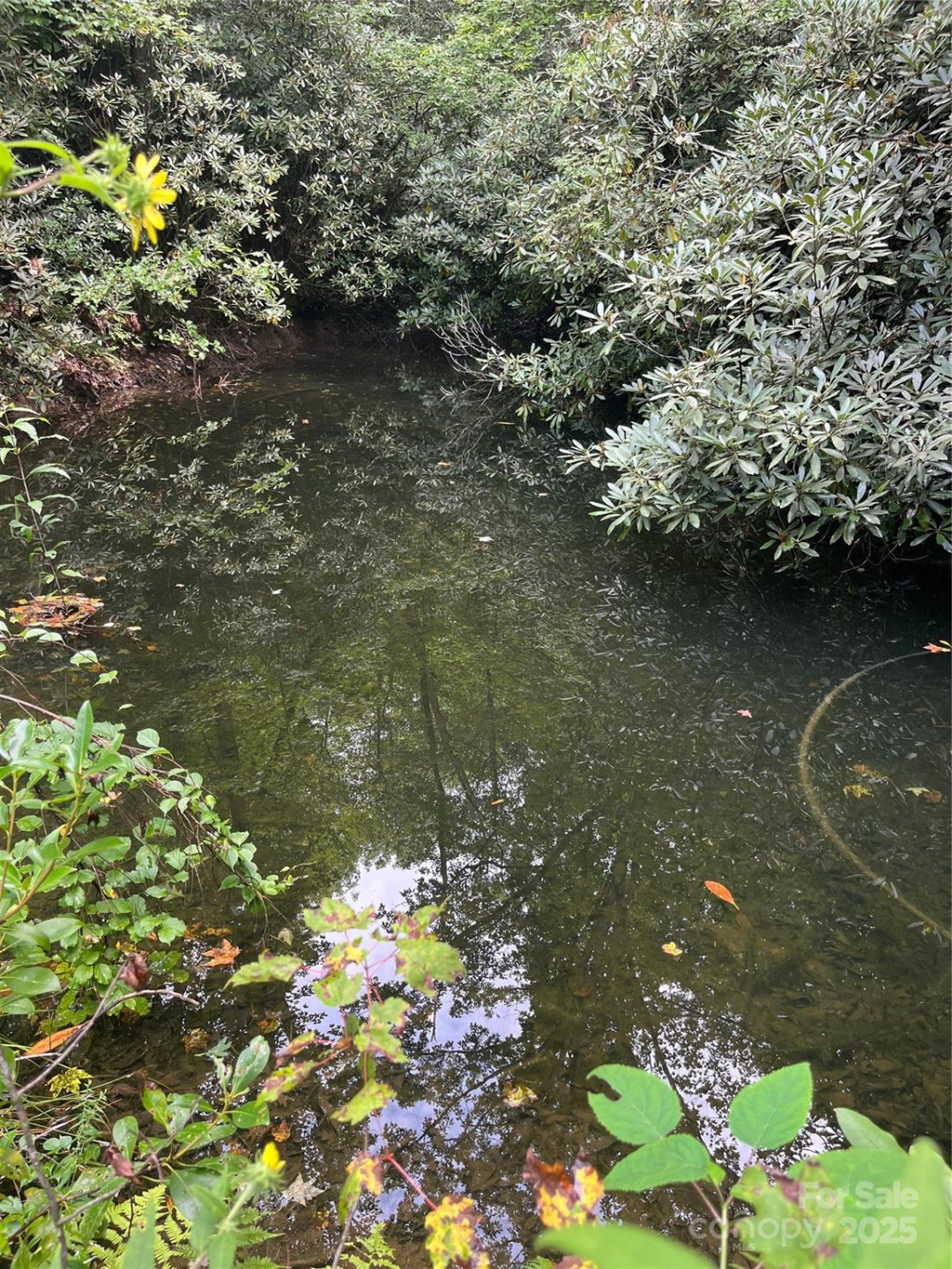 TBD Normcol Road - Photo 5