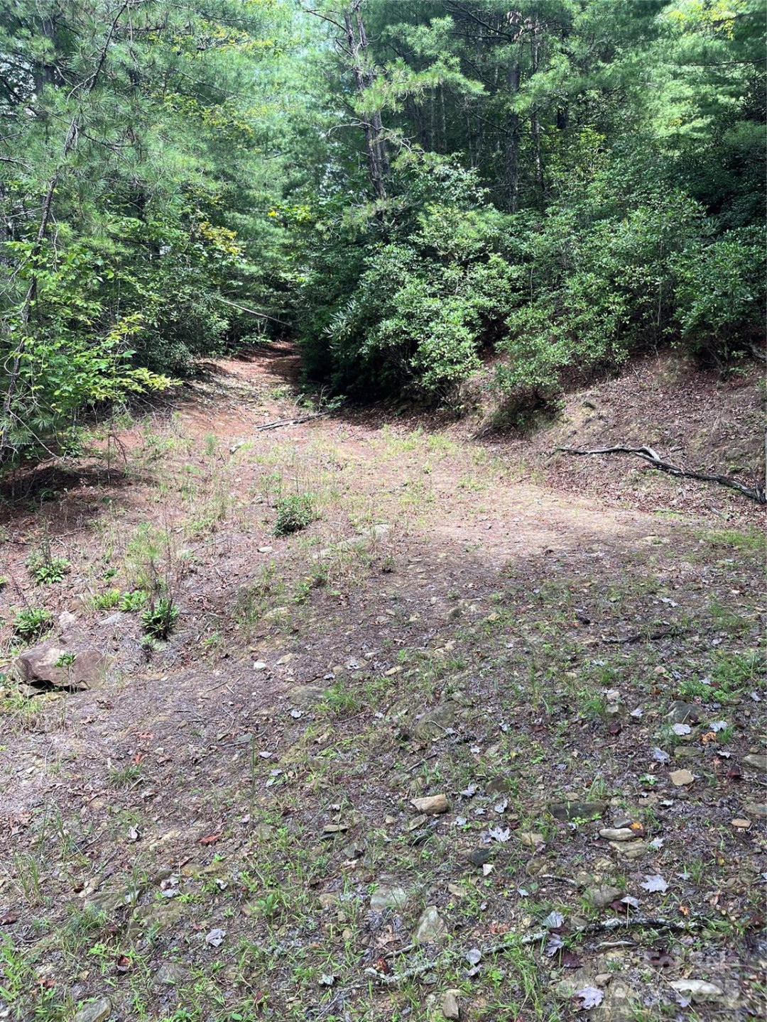 TBD Normcol Road - Photo 6