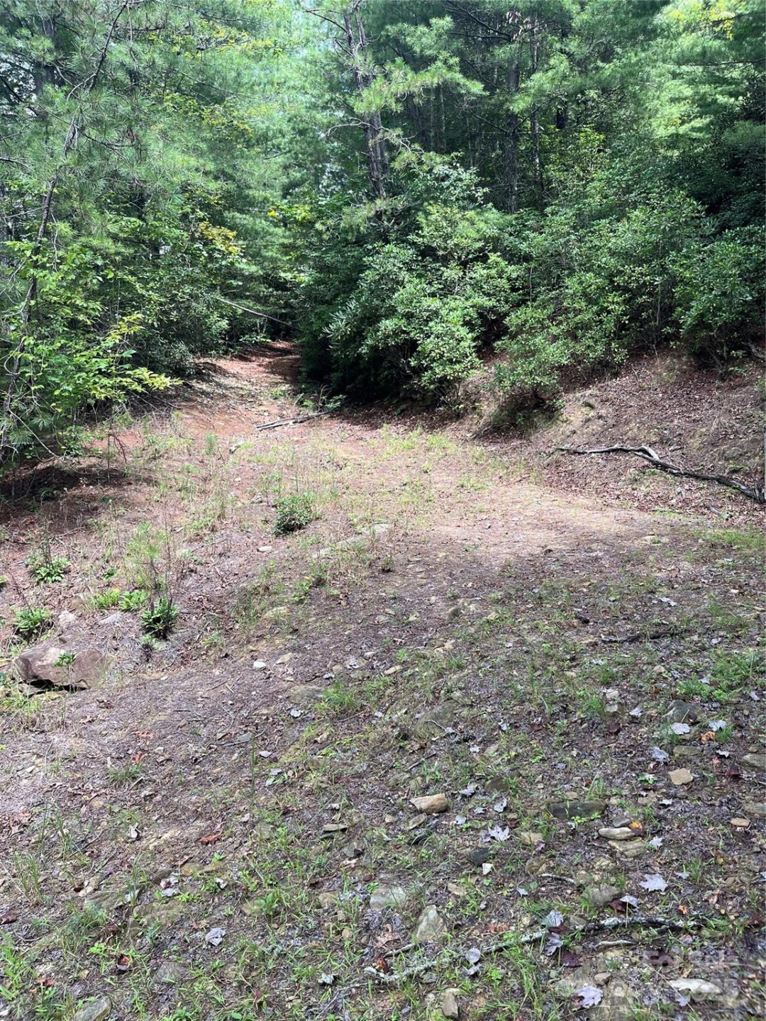 TBD Normcol Road - Photo 6