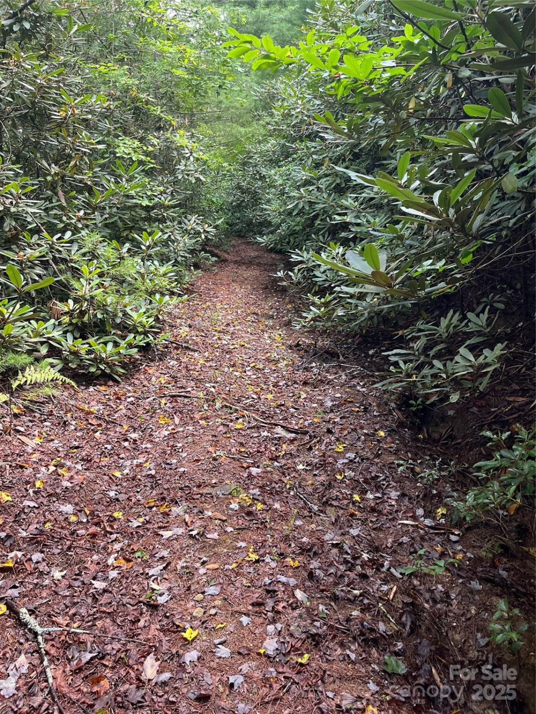 TBD Normcol Road - Photo 7