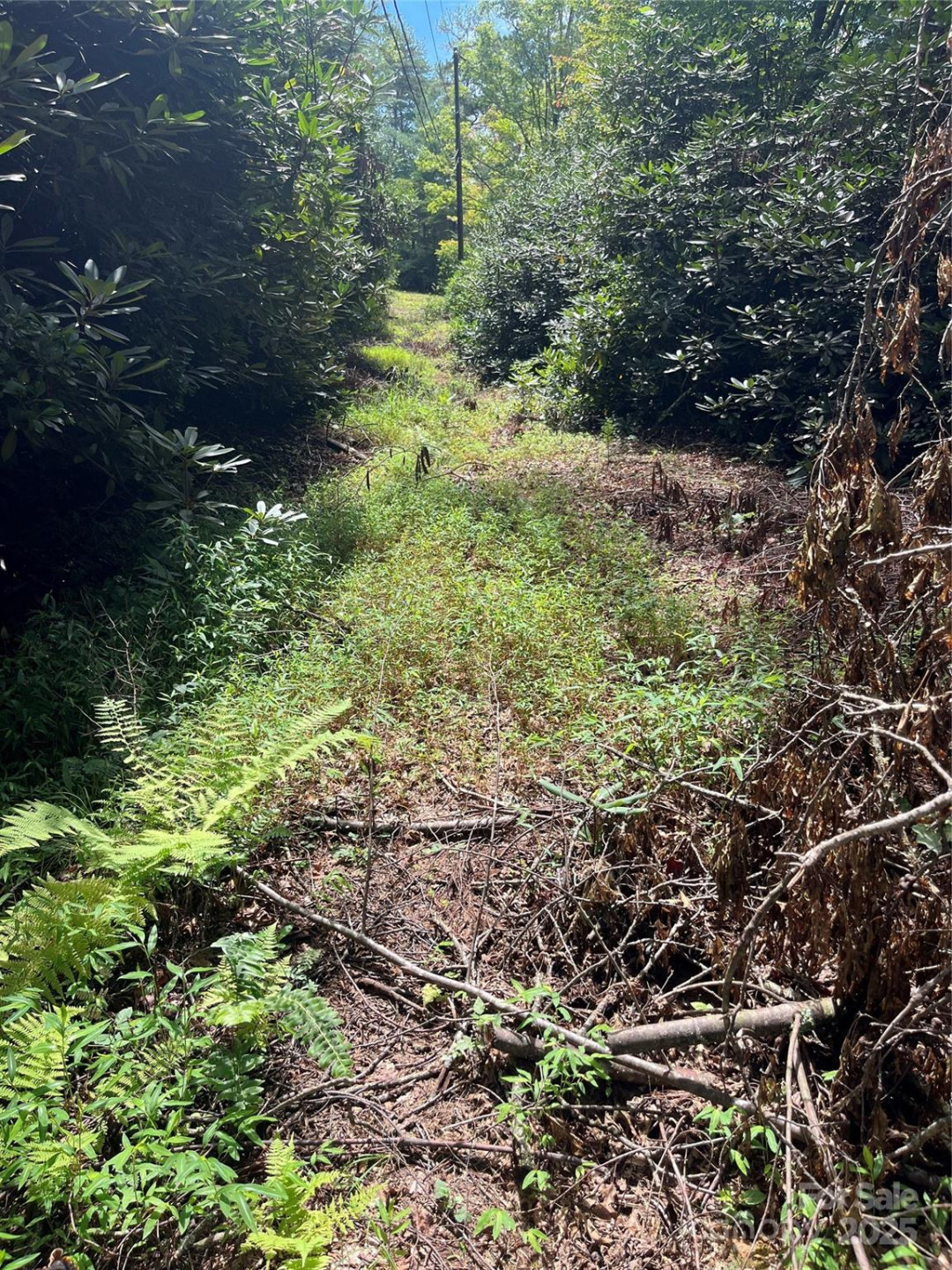 TBD Normcol Road - Photo 8