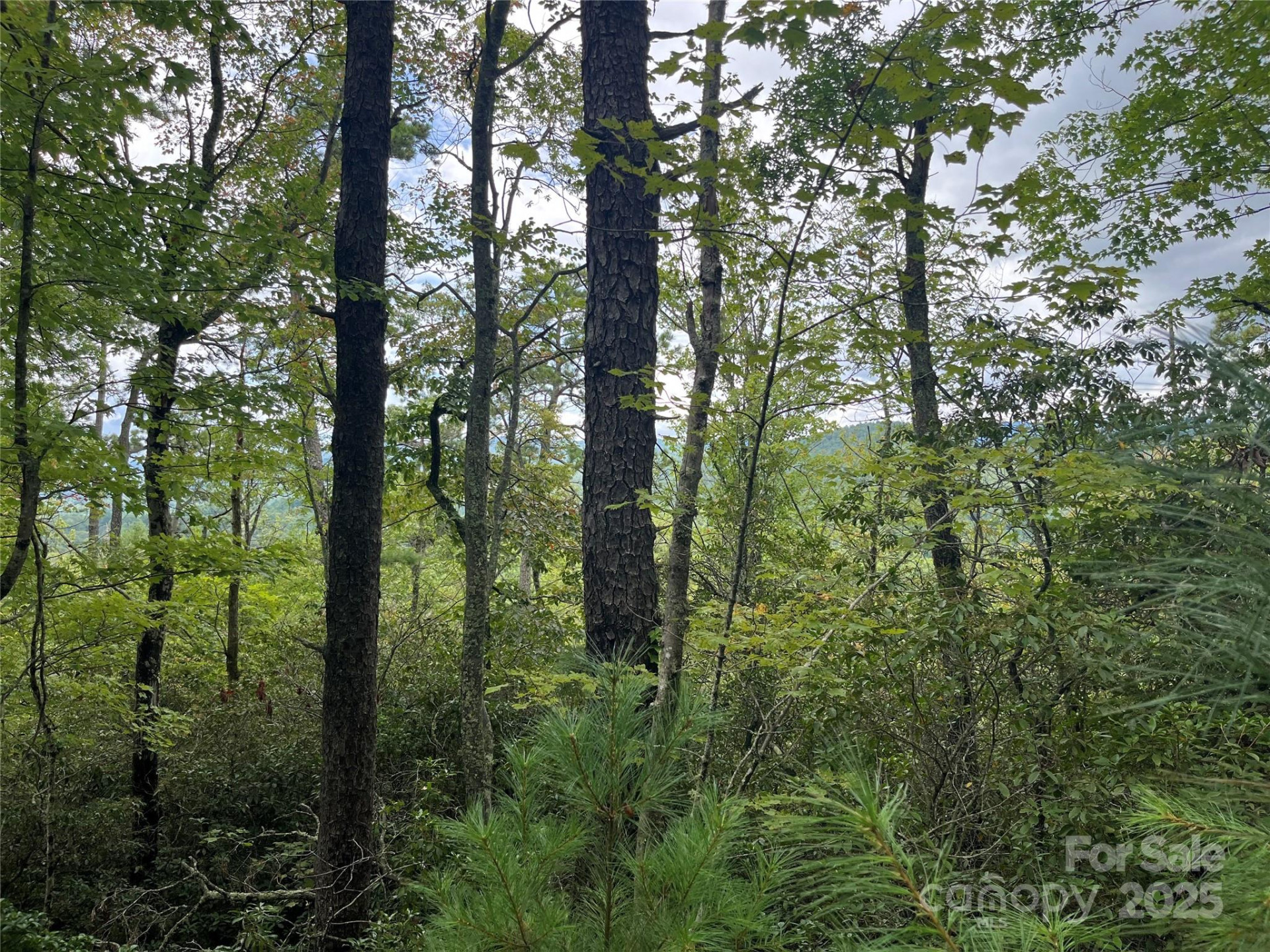 TBD Normcol Road - Photo 9