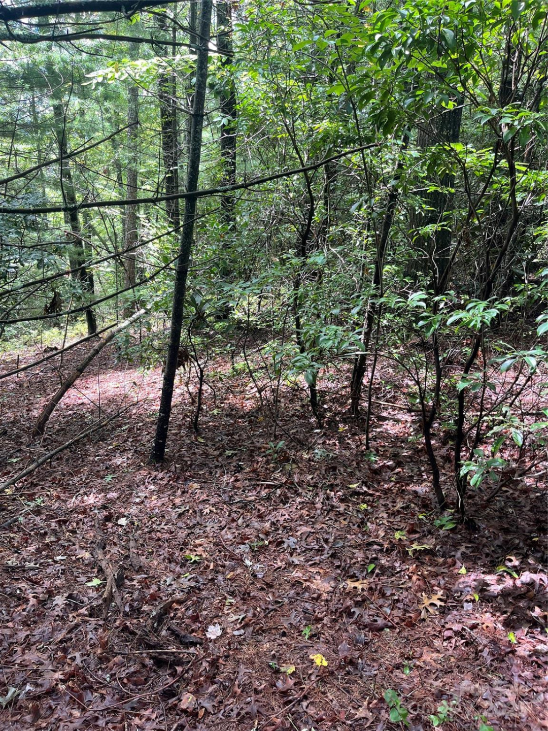 TBD Normcol Road - Photo 10