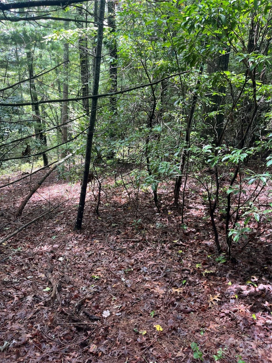 TBD Normcol Road - Photo 10