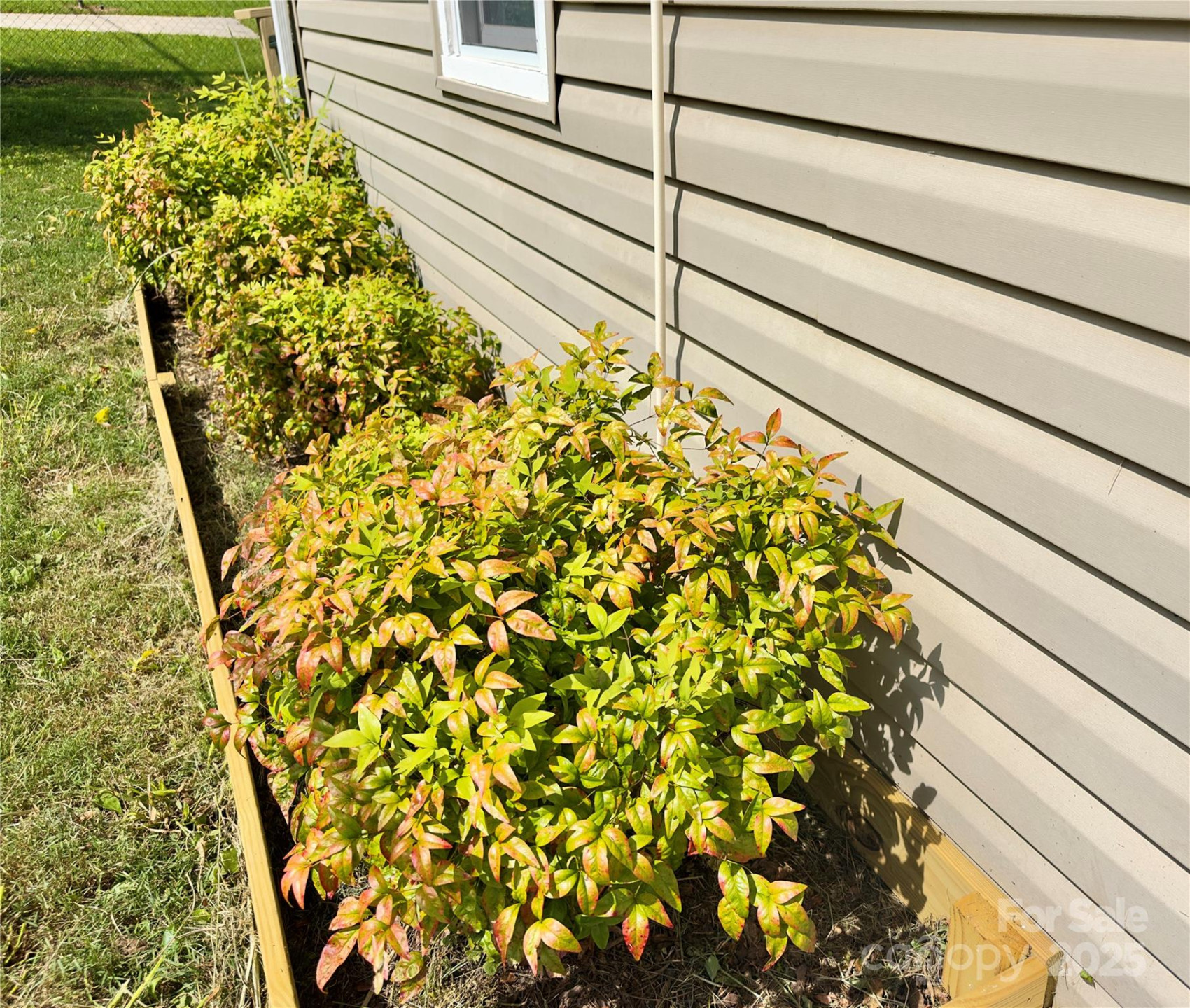 329 Morehead Road - Photo 20